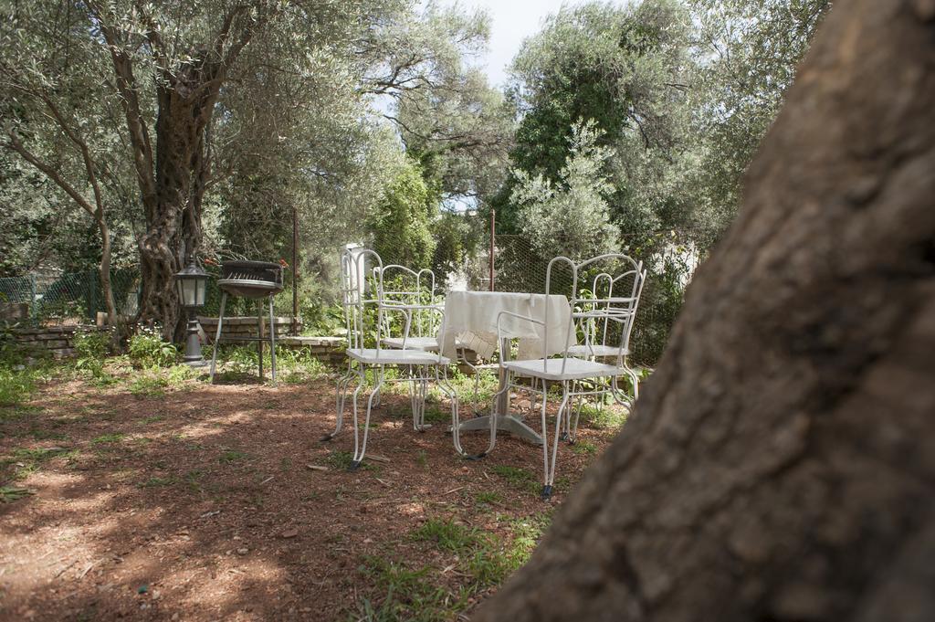 Gregovic Family Apartments Petrovac Buitenkant foto